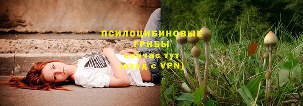 ешки Абинск