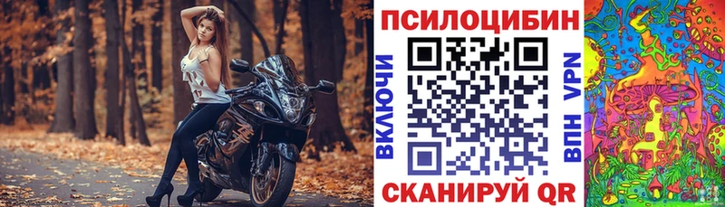 Псилоцибиновые грибы мицелий  omg как войти  Красково 